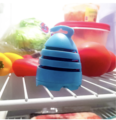 Absorbeur d'odeurs pour réfrigérateur